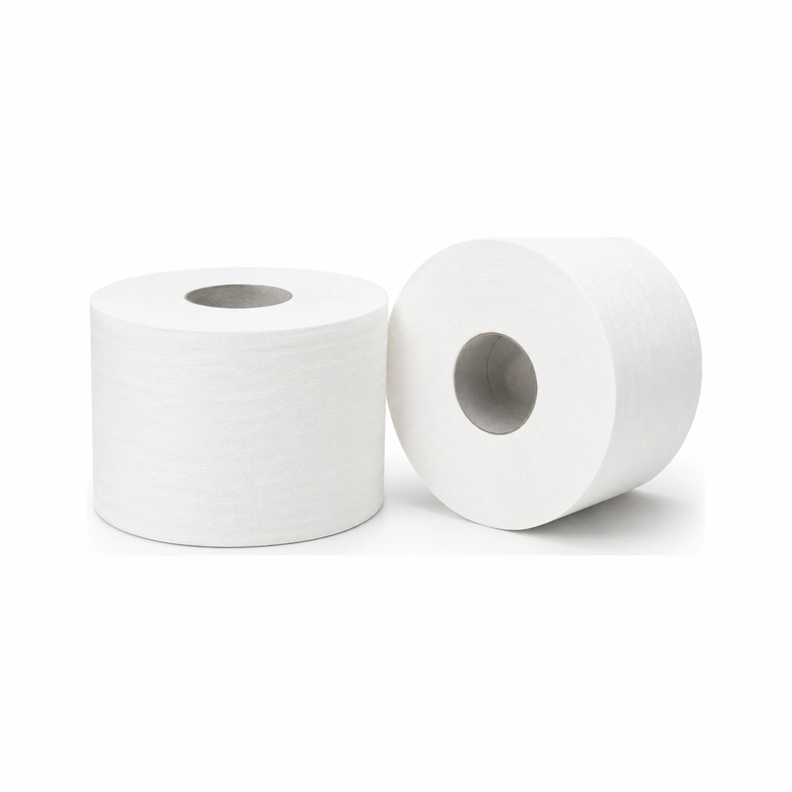 Jumbo Toilet Roll 1